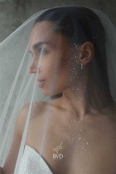 Glitter Wedding Veil Sparkle Long Veil Shimmer Veil - Etsy
