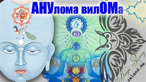 Пранаяма АНУлома-вилОМа - YouTube
