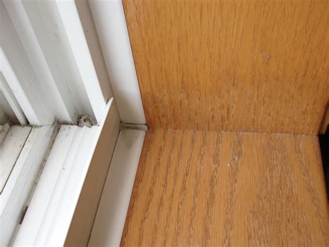 Water Leaking Window Trim at Minh Boser blog
