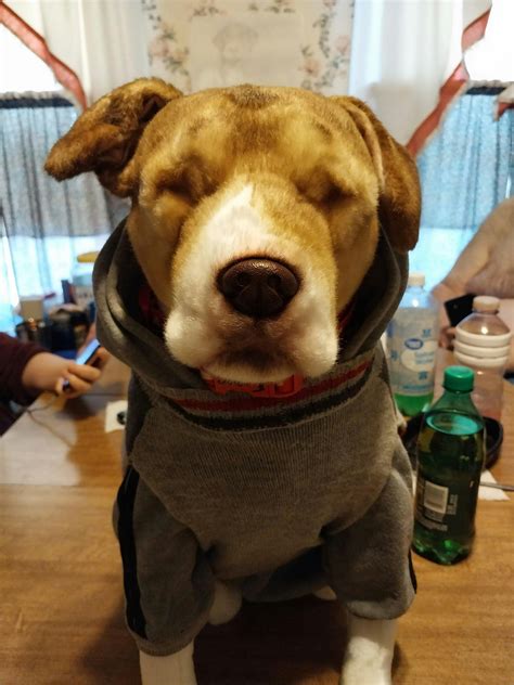 stuffed animal great dane 6