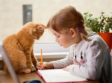 domaci ukoly ano nebo ne odbornici se neshodnou