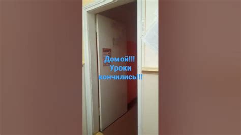 ура!домой!#short - YouTube