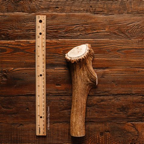 Large Center-Cut Split Elk Antler Chew | Mountain Dog Chews