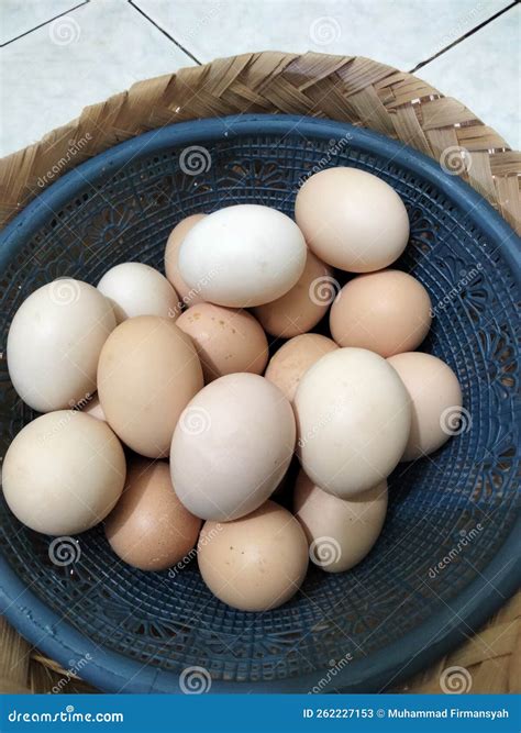 & X22;Chicken Egg& X22; You Know.? this Food is Very High. Healthy Food