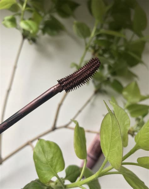 Туш від Maybelline в кольорі burgundy brown | MAKEUP Club