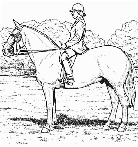 Coloriage a imprimer cheval et son cavalier gratuit et colorier