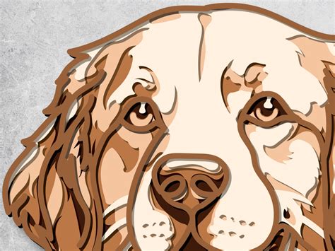 summer cut golden retriever 7