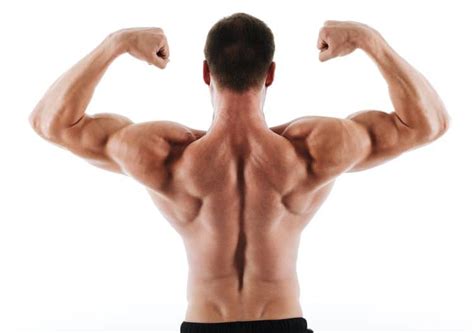 Build Bigger, More Muscular Back in Less Time – Fitness Volt