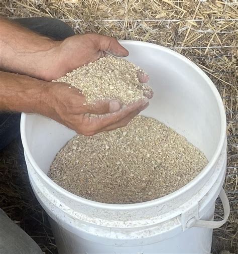 hog grower feed ration click fork