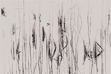 Demystifying Wabi-sabi – Beauty at the edge of nothingness – Randomwire