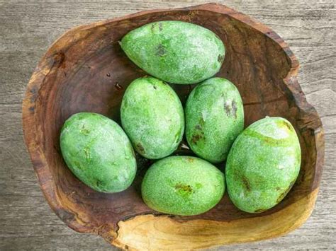ngaku pecinta mangga kamu  tahu  varietas  enak