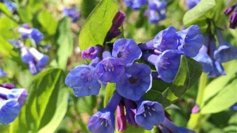 April showers bring more than May flowers