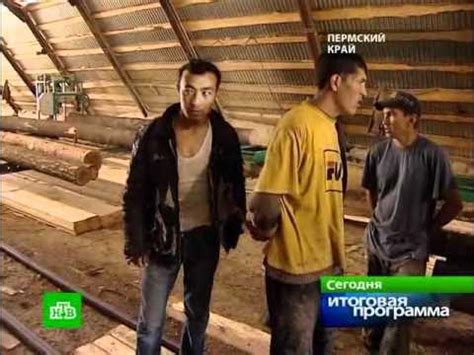 Лесная мафия Пермского края. - YouTube