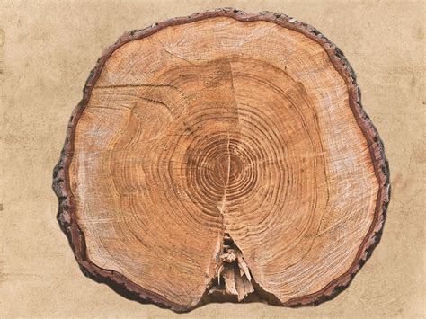 somerset house images  lodge