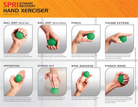 amazoncom spri hand therapy exercise ball kit sports outdoors