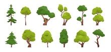 pine tree leaves background  stock photo public domain pictures