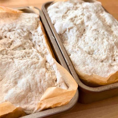 Why Is My Sourdough Bread Gummy? 7 Causes and How to Fix Them - Living