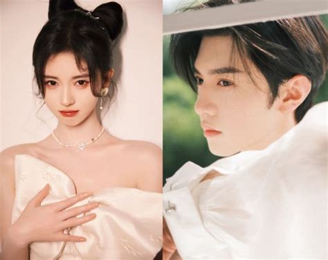 paladin legend chinese paladin   chinese paladin  bring