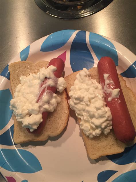 Can You Give Dogs Cottage Cheese