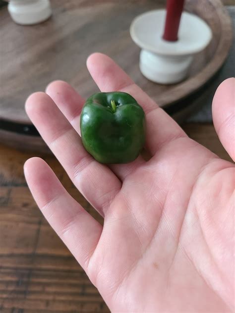 Fajitas for the entire neighborhood : r/MightyHarvest