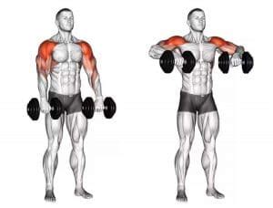 The Best Upright Row Alternative for Huge Shoulders and Massive Traps ...