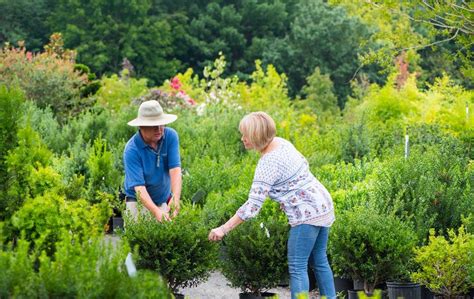 About Us – Merrifield Garden Center