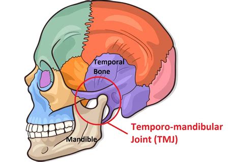 Does your jaw click? - Temporo-Mandibular Joint TMJ