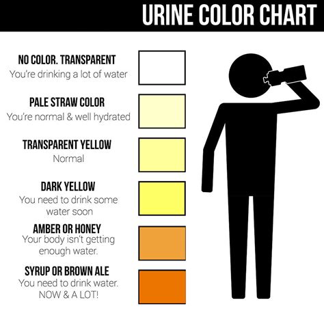 Urine Color - Chart, What Color Is Normal, What Does It Mean