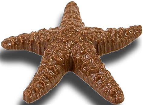 chocolate starfish angell  phelps chocolate factory