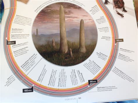 roadmap  life  planet earth subratachak