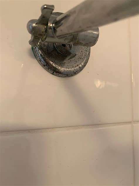 How to fix this leaking shower head? | Bunnings Workshop community