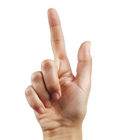 A hand with the one fingers up and png style on white background
