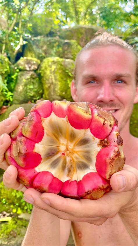10 Erosberry Benefits Doctors Are Keeping Secret (Number 7 Blew My Mind!) Image 9