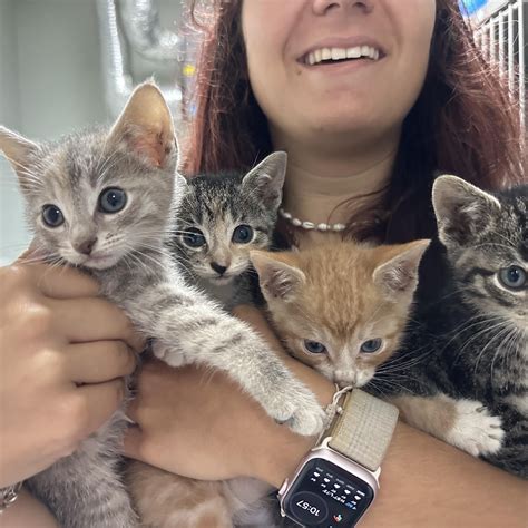 SAVE Rescue Shelter | Toms River NJ