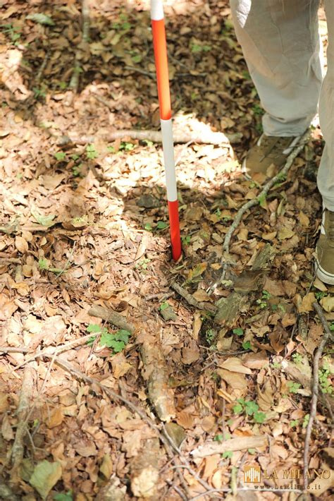 Aspromonte, nuovi ritrovamenti lungo antiche mura romane