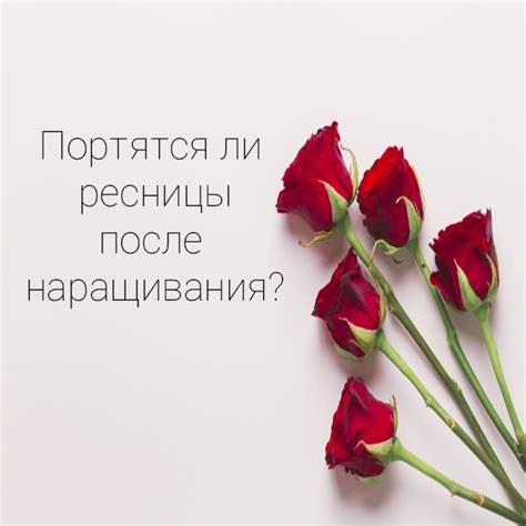 Портятся ли ресницы после наращивания? Мифы о наращивании