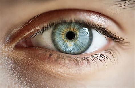 truths  protecting  eyes harvard health