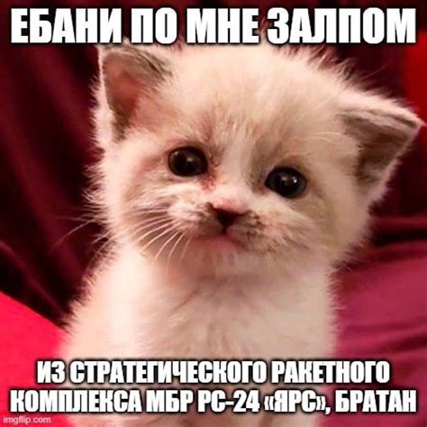 Пин от пользователя vvrik на доске memes в 2023 г | Мемы, Веселые мемы ...