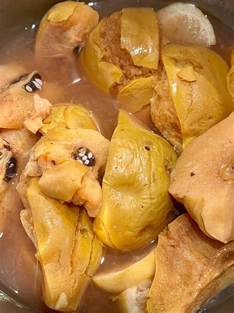 All Things Quince - by Catherine Phipps