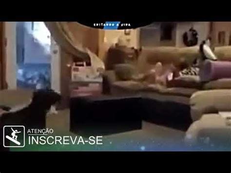Mulheres Enfiando O Dedo No Cu - GAROTA ENFIA O DEDO NO CU DO CACHORRO - YouTube