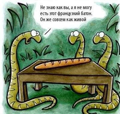 Черный юмор в картинках (20 картинок) | Юмор | ice-scream.ru