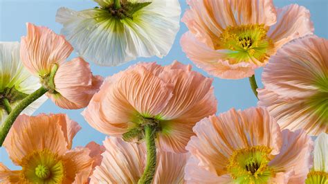 The Secret to Maintaining Vitality and Energy All Day - Lifestyle