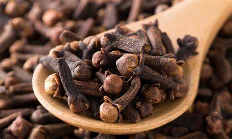 Clove | Inaexport