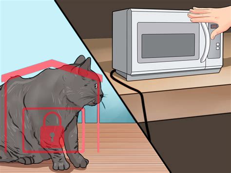 protect wires from cats 7