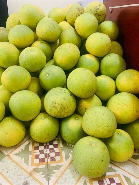 Hình Ảnh Quả Bưởi Da Xanh Láng Bóng, Đẹp Mọng Nước