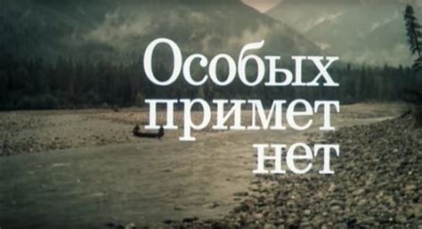 Кинотитры