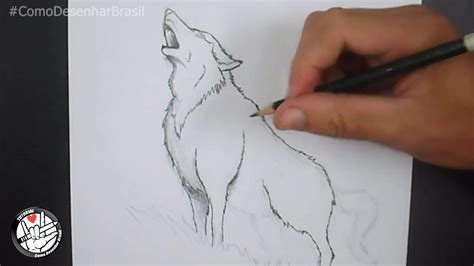 Como Desenha Um Lobo