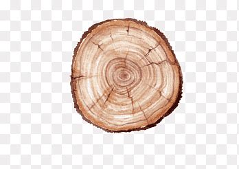 бревно png | PNGEgg