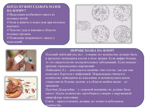 Степени чистоты влагалища - презентация онлайн