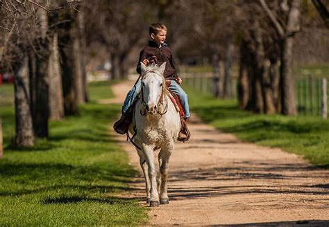 FDA Warns Texas Horse Owners Against Feeding Recalled Product